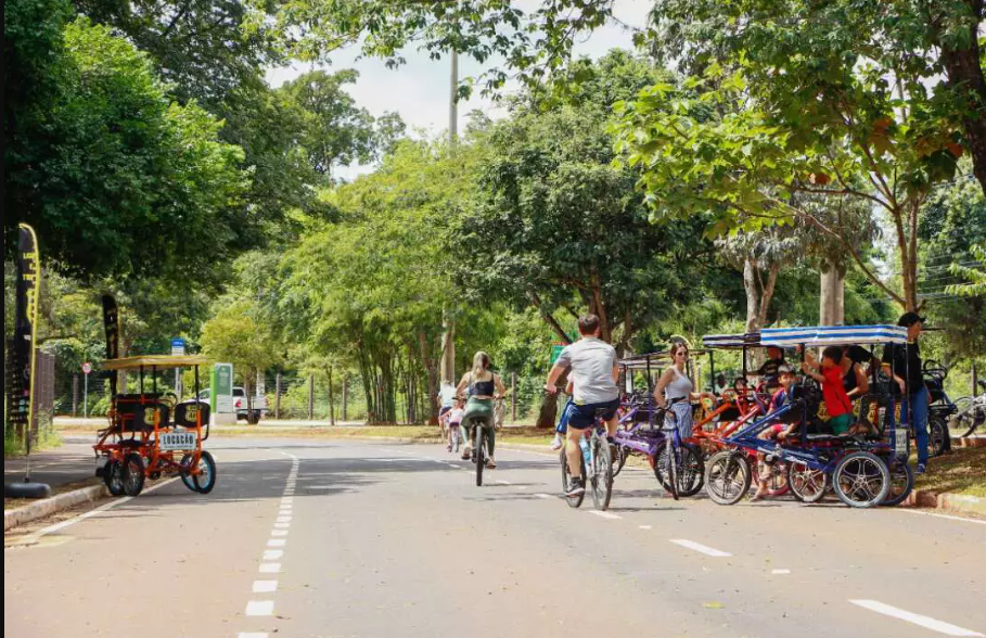 Mais que exercício: ciclismo pode proteger o cérebro e diminuir risco de demência, aponta estudo internacional