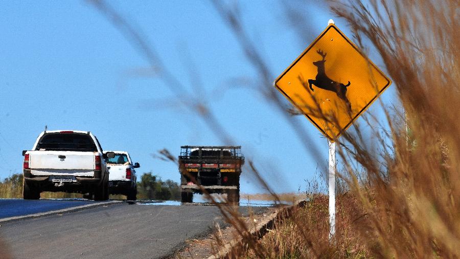 sinalizacao-instalada-em-areas-onde-e-comum-a-travessia-de-animais-1708110472190_v2_900x506